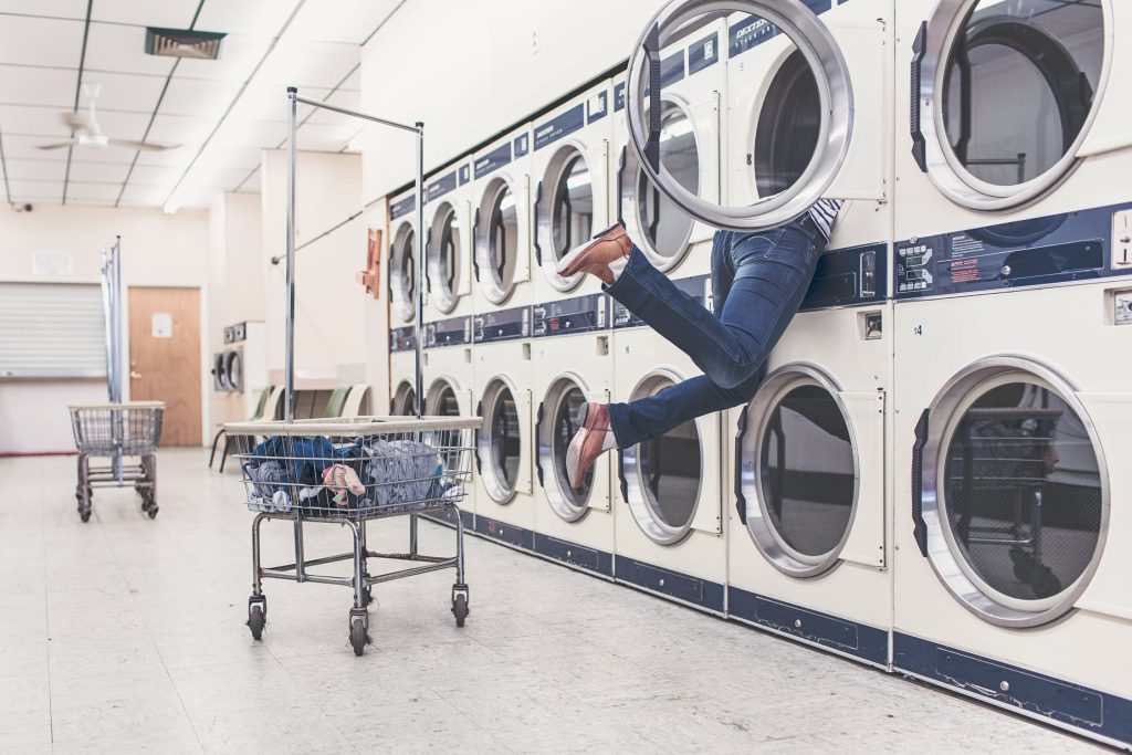 Kan de wasmachine vlooien en vlooieneitjes doden? Geen Beestjes Meer!