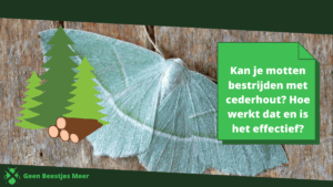 Kan je motten bestrijden met cederhout? Hoe werkt dat en is het effectief?