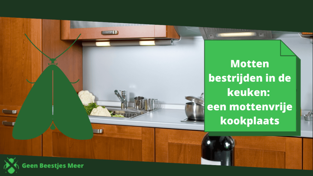 Motten bestrijden in de keuken een mottenvrije kookplaats Geen Beestjes Meer!