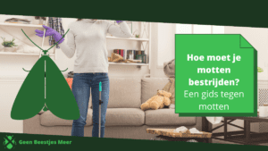 Hoe moet je motten bestrijden Een gids tegen motten