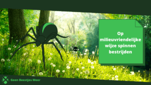 Op milieuvriendelijke wijze spinnen bestrijden