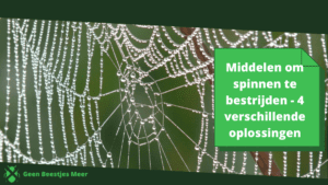 Middelen om spinnen te bestrijden
