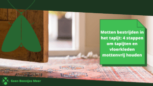 Motten bestrijden in het tapijt