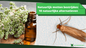 Natuurlijk motten bestrijden_ 10 natuurlijke alternatieven (2)