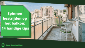 Spinnen bestrijden op het balkon_ 14 handige tips