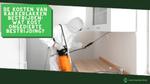 De kosten van kakkerlakken bestrijden wat kost ongedierte bestrijding (1)