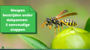 Wespen bestrijden onder dakpannen 5 eenvoudige stappen